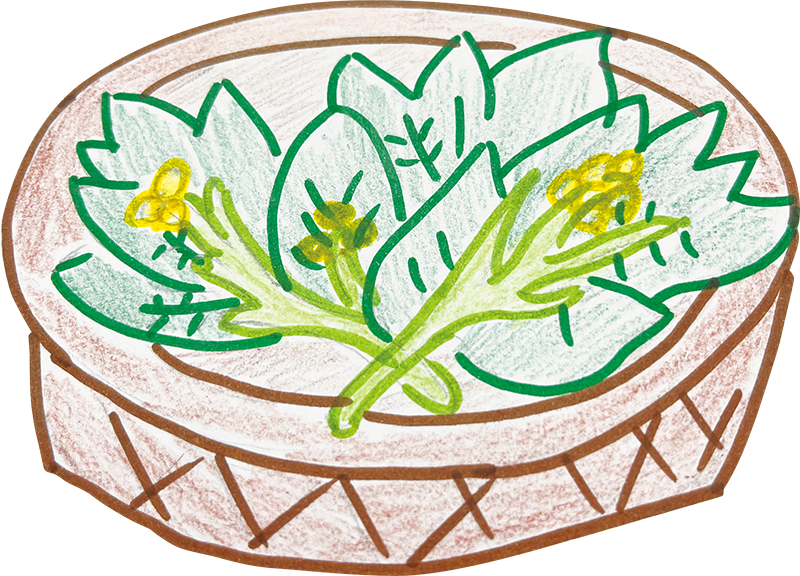 アスパラ菜のかごイラスト
